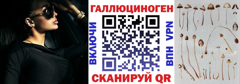 Галлюциногенные грибы MAGIC MUSHROOMS  Канаш 